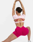 Blush Ballet Crop Top
